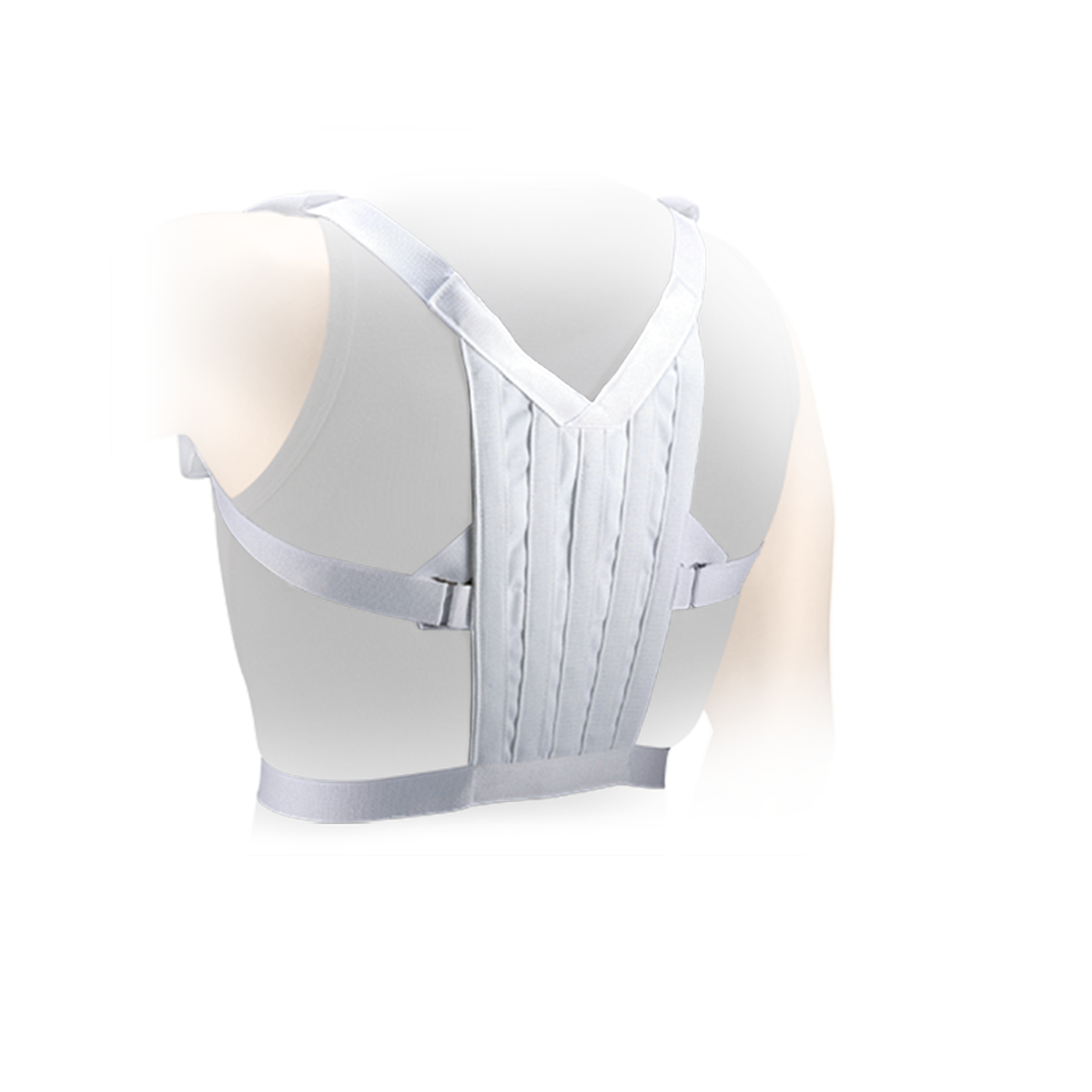 BODY POSTURE SUPPORT