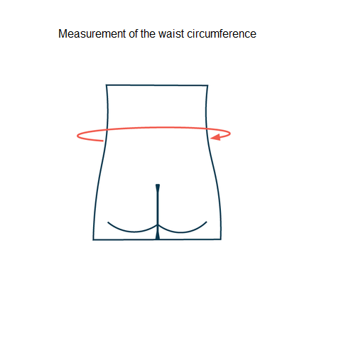 VERTEBRADYN®SENSO